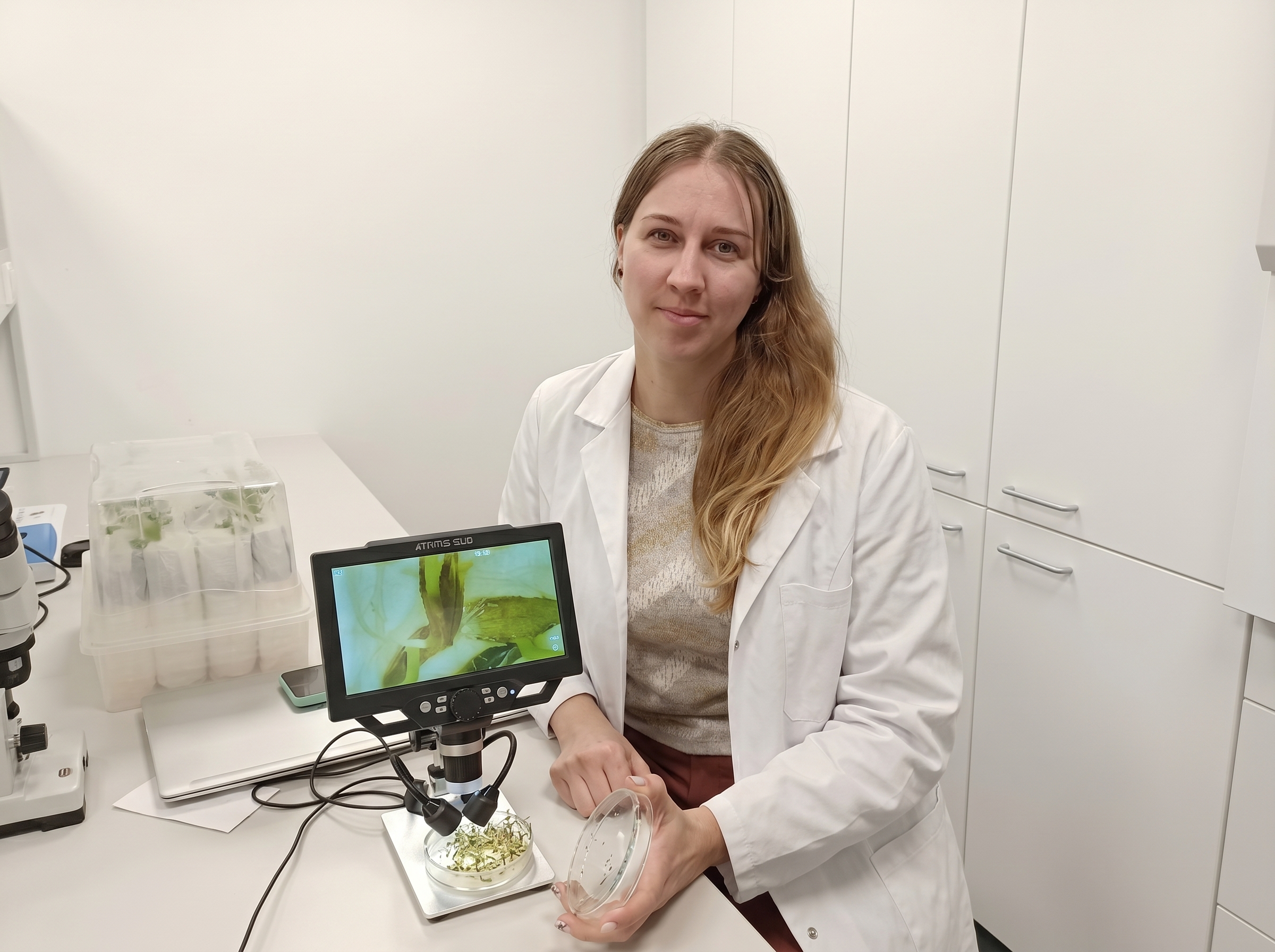 lab